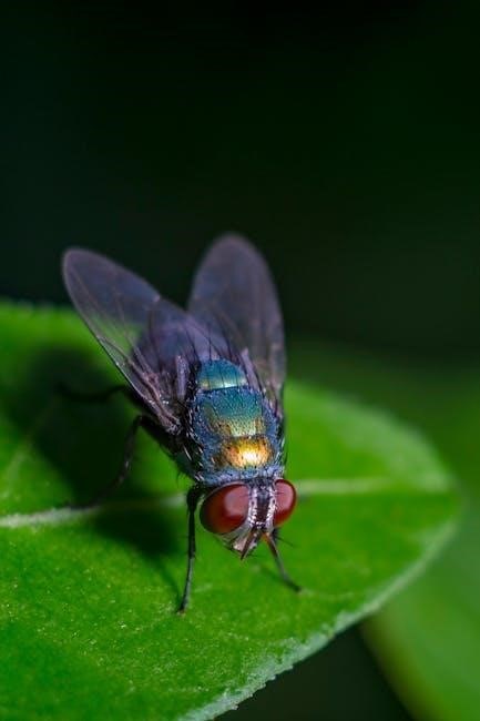 lord of the flies pdf file